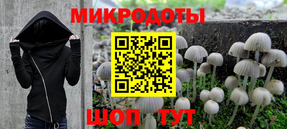 Псилоцибиновые грибы GOLDEN TEACHER Тейково