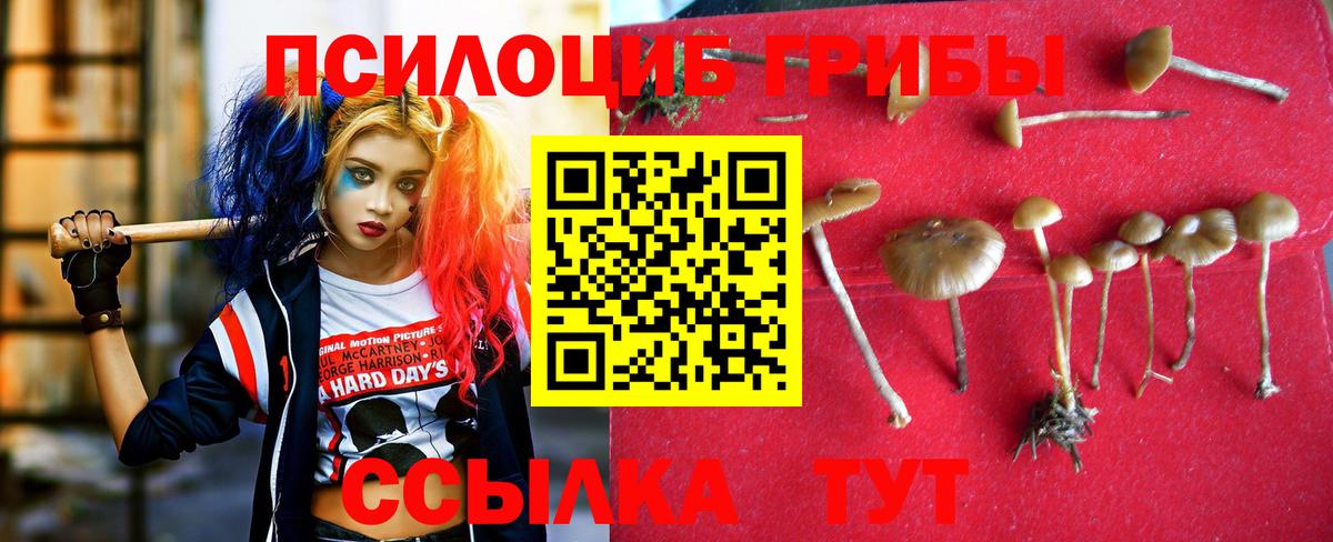 Тейково  Галлюциногенные грибы MAGIC MUSHROOMS  Вход с VPN 