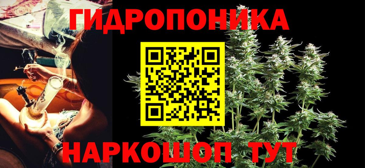 Канабис Bruce Banner  Конопля план  Шишки марихуана планчик  МАРИХУАНА ГИДРОПОН  Вход с VPN  Тейково 